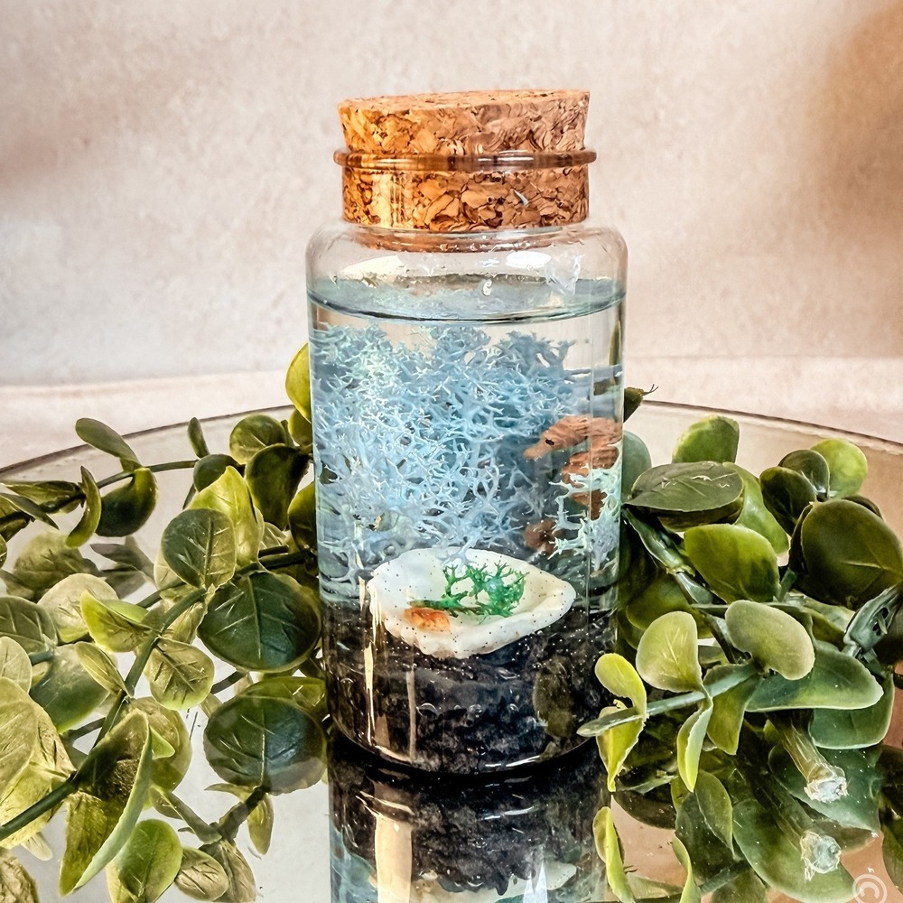 Mini Seahorse and Fish Aquarium
